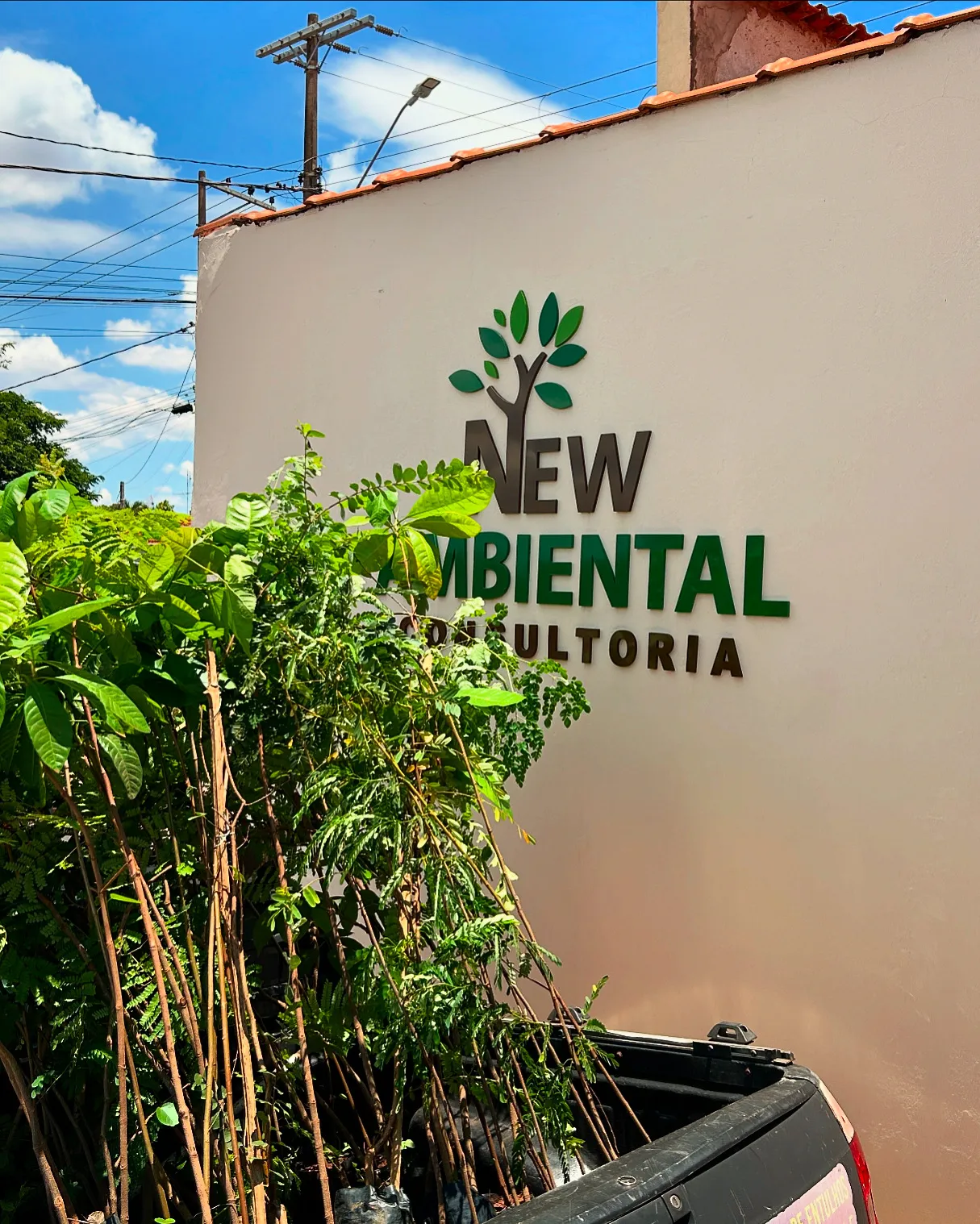Sede da New Ambiental em Barretos-SP com mudas de espécies nativas prontas para plantio